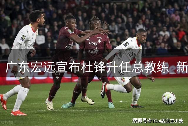 广东宏远宣布杜锋升任总教练 新帅人选筹备中